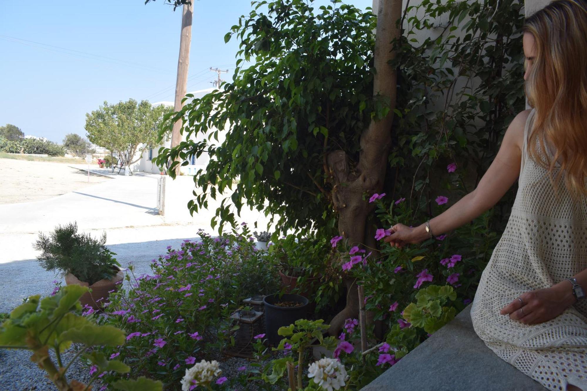 Birbas Hotel Agia Anna  Zimmer foto